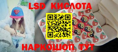гашик Кинель