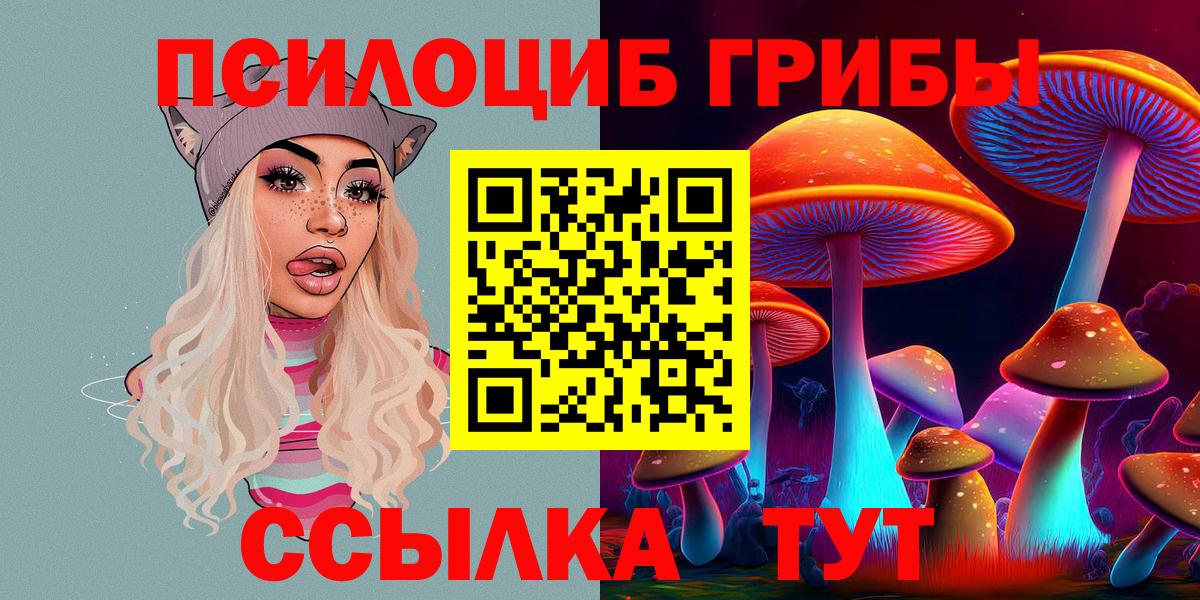 Псилоцибиновые грибы мицелий Киселёвск