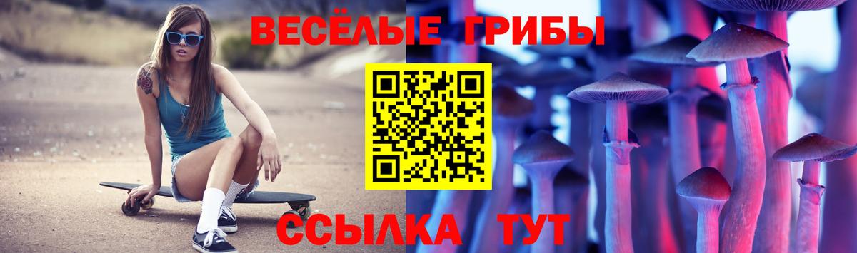 Псилоцибиновые грибы мицелий  Вход с VPN  Киселёвск 
